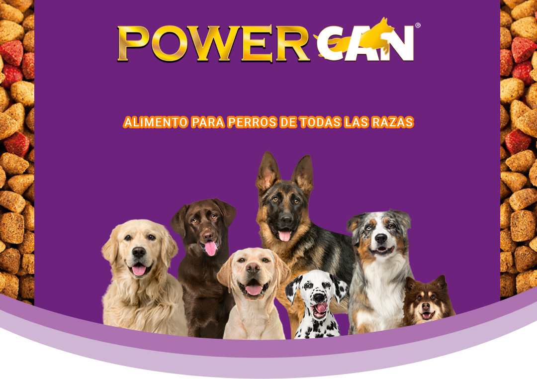 Alimento para perros de todas las razas