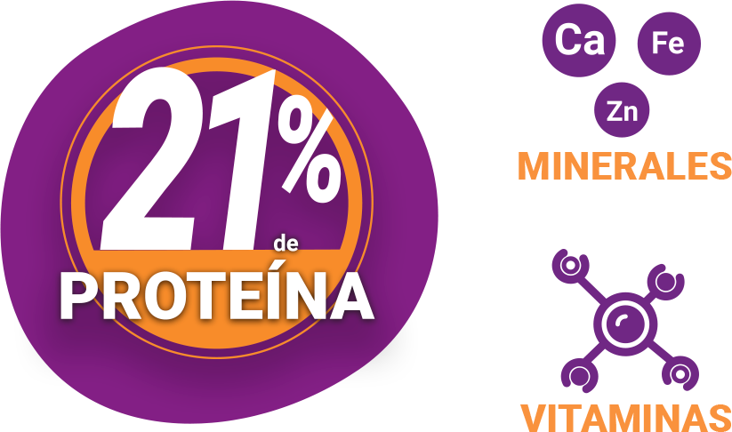 21% proteina minerales y vitaminas
